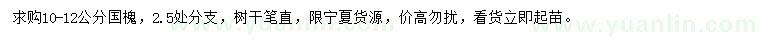求購10-12公分國槐