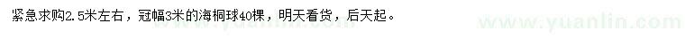 求購2.5米左右海桐球