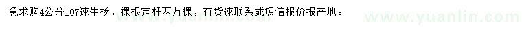 求購4公分107速生楊