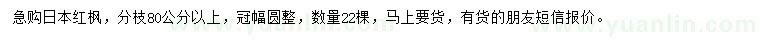 求購日本紅楓