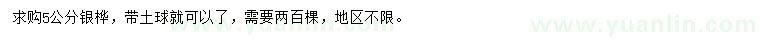 求購5公分銀樺