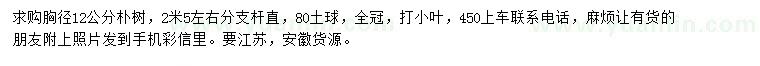求購胸徑12公分樸樹