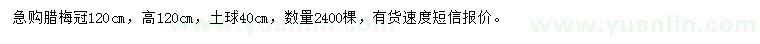 求購冠1.2米臘梅