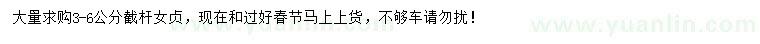 求購3-6公分女貞