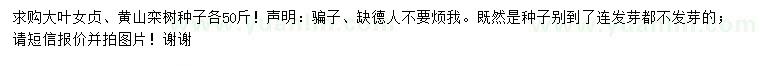求購(gòu)大葉女貞、黃山欒樹種子