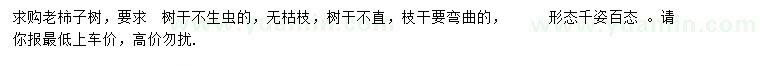 求購老柿子樹