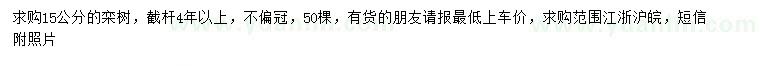 求購15公分欒樹