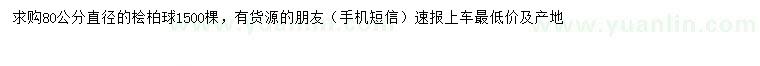 求購直徑80公分檜柏球