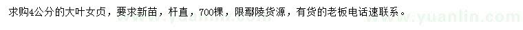 求購4公分大葉女貞