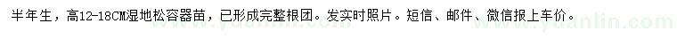 求購高12-18公分濕地松