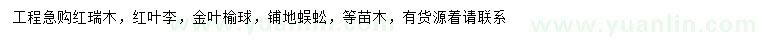 求購(gòu)紅瑞木、紅葉李、金葉榆球等