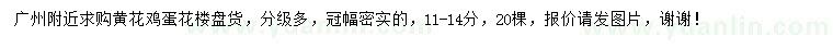 求購(gòu)11-14公分黃花雞蛋花