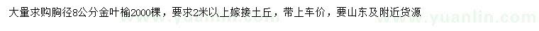 求購胸徑8公分金葉榆