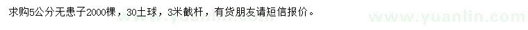 求購(gòu)5公分無患子