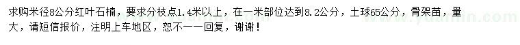 求購米徑8公分紅葉石楠