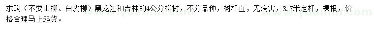 求購4公分柳樹