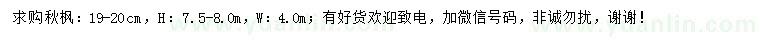 求購19-20公分秋楓