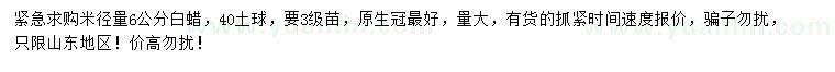 求購米徑量6公分白蠟