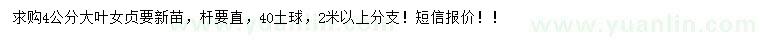 求購4公分大葉女貞