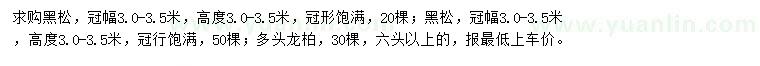 求購(gòu)黑松、多頭龍柏