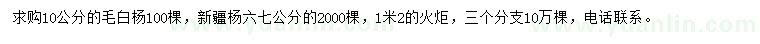求購毛白楊、新疆楊、火炬