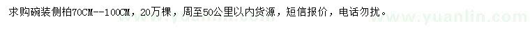 求購(gòu)70-100公分碗裝側(cè)柏