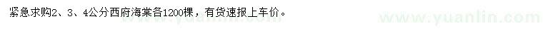 求購2、3、4公分西府海棠