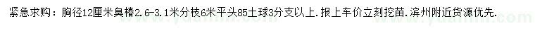 求購胸徑12公分臭椿
