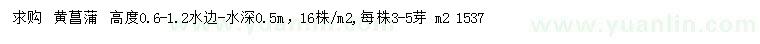 求購(gòu)黃菖蒲
