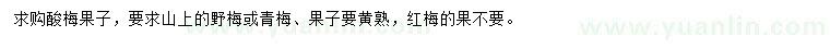 求購酸梅果子