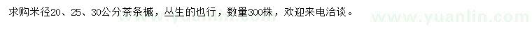 求購米徑20、25、30公分茶條槭
