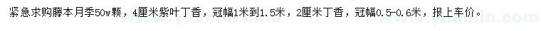 求購藤本月季、紫葉丁香