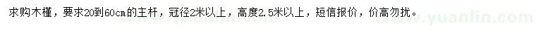 求購高2.5米以上木槿