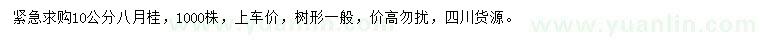 求購10公分八月桂