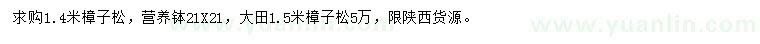 求購1.4米樟子松、1.5米大田樟子松