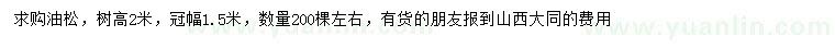 求購(gòu)高2米油松