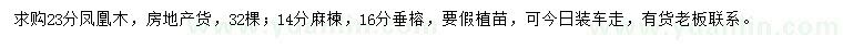 求購(gòu)鳳凰木、麻楝、垂榕