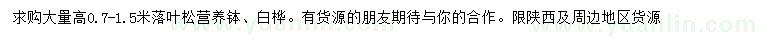 求購(gòu)高0.7-1.5米落葉松、白樺