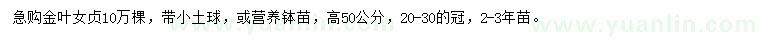 求購高50公分金葉女貞