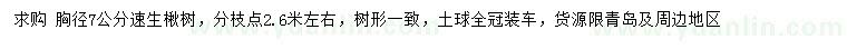 求購胸徑7公分速生楸樹