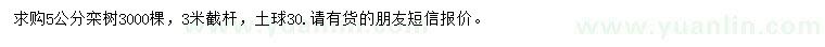 求購5公分欒樹