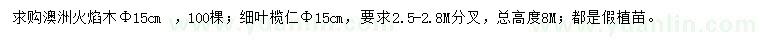 求購澳洲火焰木、細葉欖仁