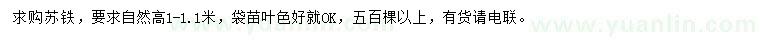 求購高1-1.1米蘇鐵