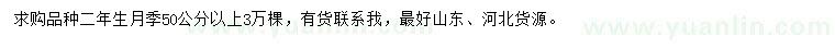 求購(gòu)二年生月季