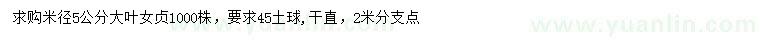 求購米徑5公分大葉女貞