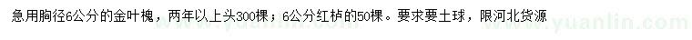 求購胸徑6公分金葉槐、紅櫨