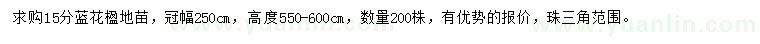 求購15公分藍(lán)花楹地苗