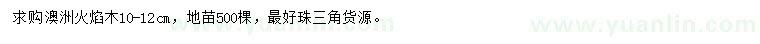 求購10-12公分澳洲火焰木