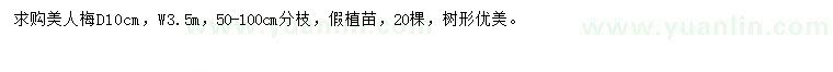 求購地徑10公分美人梅