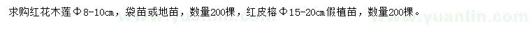 求購胸徑8-10公分紅花木蓮、胸徑15-20公分紅皮榕